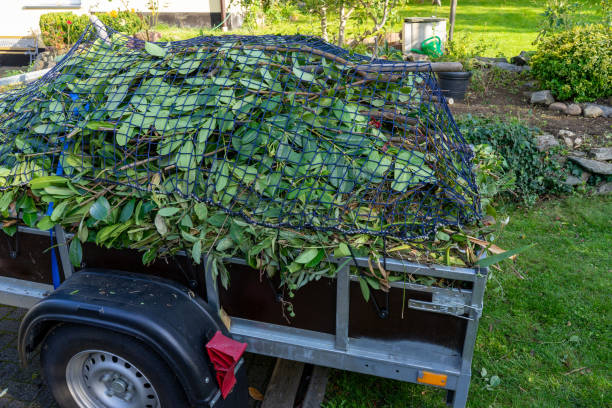 Best Shed Removal  in Mulberry, FL